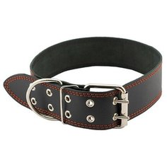 Ошейник для кошек и собак "Homepet", простой простроченный (натуральная кожа), цвет: черный, 45 мм x 59-71 см