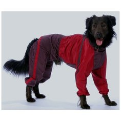 Комбинезон "Тузик" тёплый, для собак породы цвергшнауцер (мальчик)