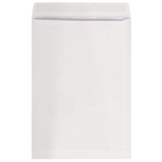 Конверт PACKPOST Businesspack B4 (250 х 353 мм) 50 шт.