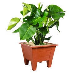 Кашпо Elin фирмы SBOX 23 литра, 40x40см, терракот, 1 шт