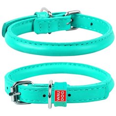 Ошейник для собак COLLAR Waudog Glamour круглый для длинношерстных шир. 8мм, дл. 25-33см ментоловый