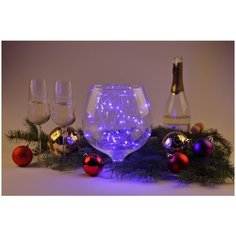 ENIN -5NB ЭРА Гирлянда LED Нить 5 м синий свет, АА ERA