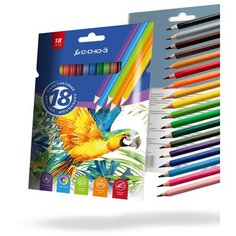 Союз Цветные карандаши Птицы (CNB3KZ-18-P)