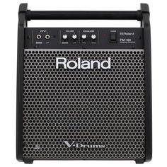 Roland PM-100