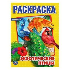 Раскраска УМка Экзотические птицы формат А4