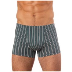 Uomo Fiero Трусы боксеры 039FH в полоску, размер 48, хаки