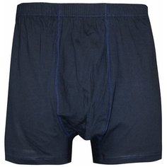 N.O.A. Трусы боксеры с профилированным гульфиком, размер 54, синий NOA