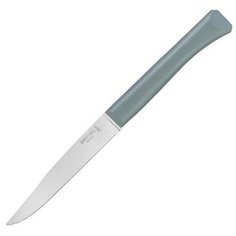 Нож столовый Opinel N°125, полимерная ручка, нерж, сталь, шалфей. 002195