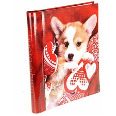 Фотоальбом Veld co 55472 30 "магнитных"листов 23X28см Dog