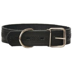 Ошейник ZOOexpress 0755, обхват шеи 45-55 см черный