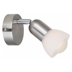 Спот FALENA A3115AP-1SS Arte Lamp