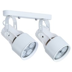 Спот LYRA A6252PL-2WH Arte Lamp