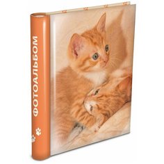 Фотоальбом Veld co 64477 30 "магнитных"листов 23X28см Puppies and kittens