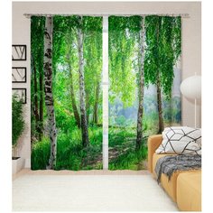 Фотошторы Сирень "Березовая аллея", 145*260 см, 2 шт.