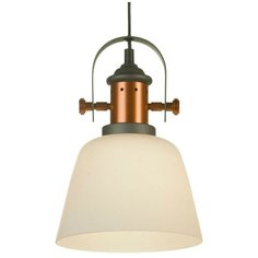 Люстра подвесная Lussole BINGHAMTON GRLSP-9846 1x10Вт E27