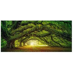 Пазл Castorland Таинственный лес, 600 эл. 0030/B-60030