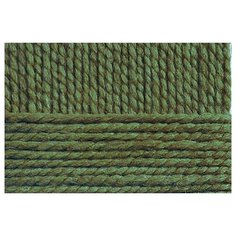 Пряжа для вязания ПЕХ Смесовая (70% акрил высокообъемный, 30% шерсть) 5х200г/200м цв.009 зеленое яблоко Пехорка ПЕХ.смес.009