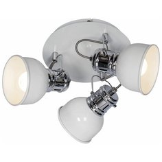 Спот APOSS LSP-9956 Lussole