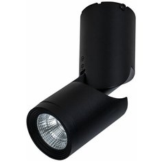 Спот Tube C019CW-01B4K Maytoni
