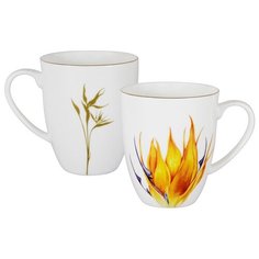 Кружка Strelitzia в подарочной упаковке Anna Lafarg AL-605S-E11