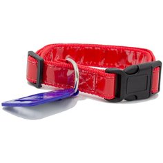 Ошейник Дарэлл Eco Lumi (011425), обхват шеи 37-57 см красный