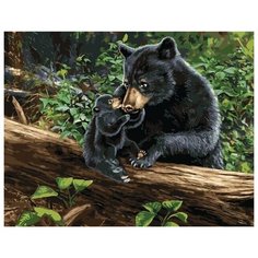 Картина по номерам Colibri 40*50см, холст на подрамнике, VA-0613