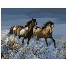 Картина по номерам Colibri 40*50см, холст на подрамнике, VA-0243