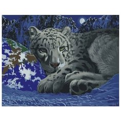 Картина по номерам Colibri 40*50см, холст на подрамнике, VA-0070