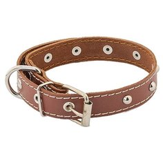 Ошейник Homepet 51215, обхват шеи 28-38 см коричневый