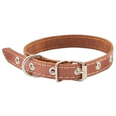 Ошейник Homepet 51115, обхват шеи 28-38 см коричневый