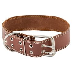 Ошейник Homepet 51145, обхват шеи 59-71 см коричневый