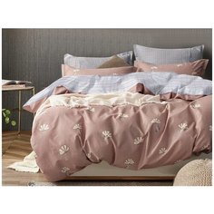 КПБ Cleo Поплин "Pure Cotton" евро 200*220*1 220*240*1 50*70*2 70*70*2 31/159-PC