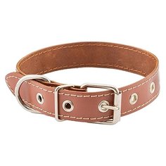 Ошейник Homepet 51125, обхват шеи 35-47 см коричневый