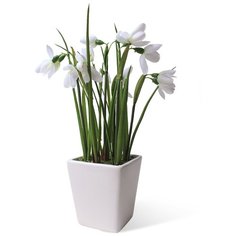 Подснежники в керамическом кашпо , цвет: белый Gerard de ros