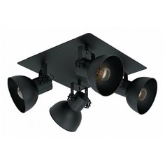 Спот Eglo Barnstaple 1 43434