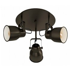 Спот Eglo Mitchley 43388