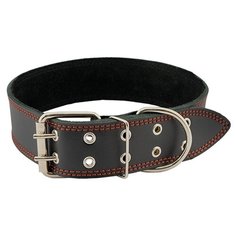 Ошейник Homepet 51345, обхват шеи 59-71 см черный