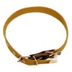 Зоотехнология-м 00280 ошейник брезент одинарный 25мм*53см (10 шт) Геогазтехнология