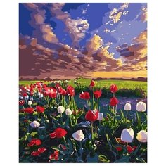 Картина по номерам Colibri VA-2894 Поле тюльпанов 40х50 см