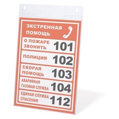 Подставка настенная для рекламных материалов вертикальная (210х297 мм), А4, оргстекло, BRAUBERG, 290428