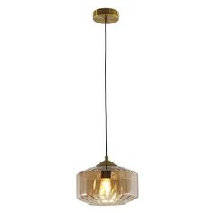 Подвесной/потолочный светильник Elementary 2721-1P (Favourite)