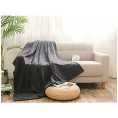 Плед Cleo "ROYAL PLUSH" велсофт двуспальный 180*200, 180/008-RP