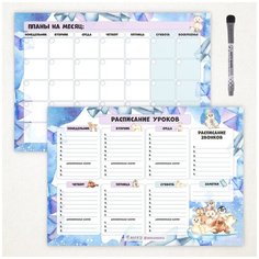 Расписание уроков магнитное 2 в 1, А3 - на месяц, А3 - на неделю, "Арктические животные 2.1", маркер с магнитом и стирателем, Дарите подарок, schedule_arctic_animals_А3х2_2.1 ДАРИТЕПОДАРОК.РФ