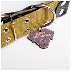 Ошейник Пижон брезентовый, однослойный, 54-69 см, 79*4,5 см