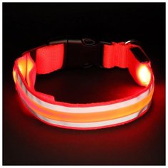 Ошейник с подсветкой Пижон и 2 светоотражающими полосами, размер М, 3 режима свечения, красный