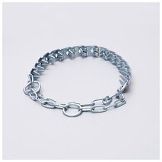 Ошейник строгий Пижон пластинчатый, цинк, 50*2,3 см