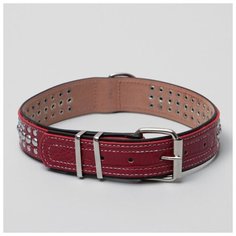 Ошейник Пижон двухслойный, клепаный, 65*3,5 см, бордовый