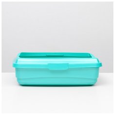 Лоток с бортиком Atlantis Plast большой, Lux, 43*33*12,5 см, светло-зеленый перламутр Атлантис Пласт
