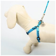 Комплект амуниции Пушистое счастье "Дай пять!": шлейка 28-47 см, поводок 120 см, адресник