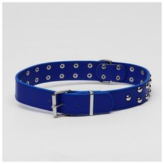 Ошейник Пижон клепаный в 2 ряда, 65,5*3,4 см, синий